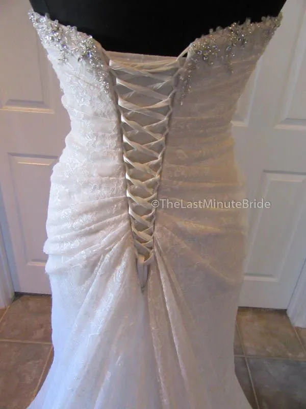 Sophia Tolli Roslin Y11415