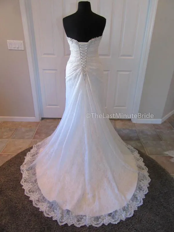 Sophia Tolli Roslin Y11415