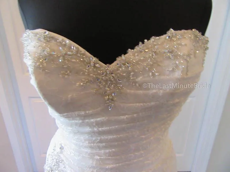 Sophia Tolli Roslin Y11415