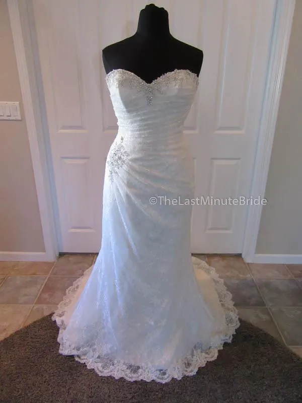 Sophia Tolli Roslin Y11415