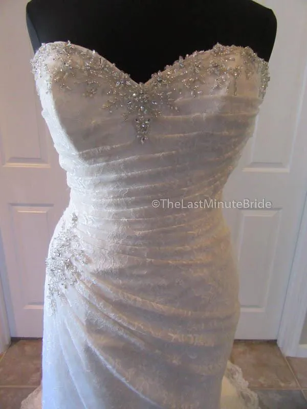 Sophia Tolli Roslin Y11415