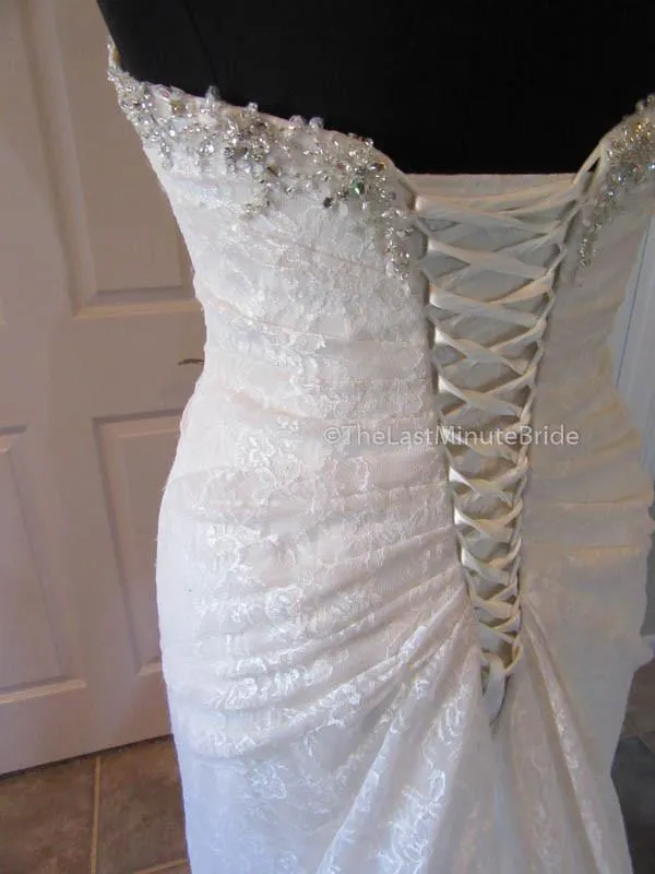 Sophia Tolli Roslin Y11415