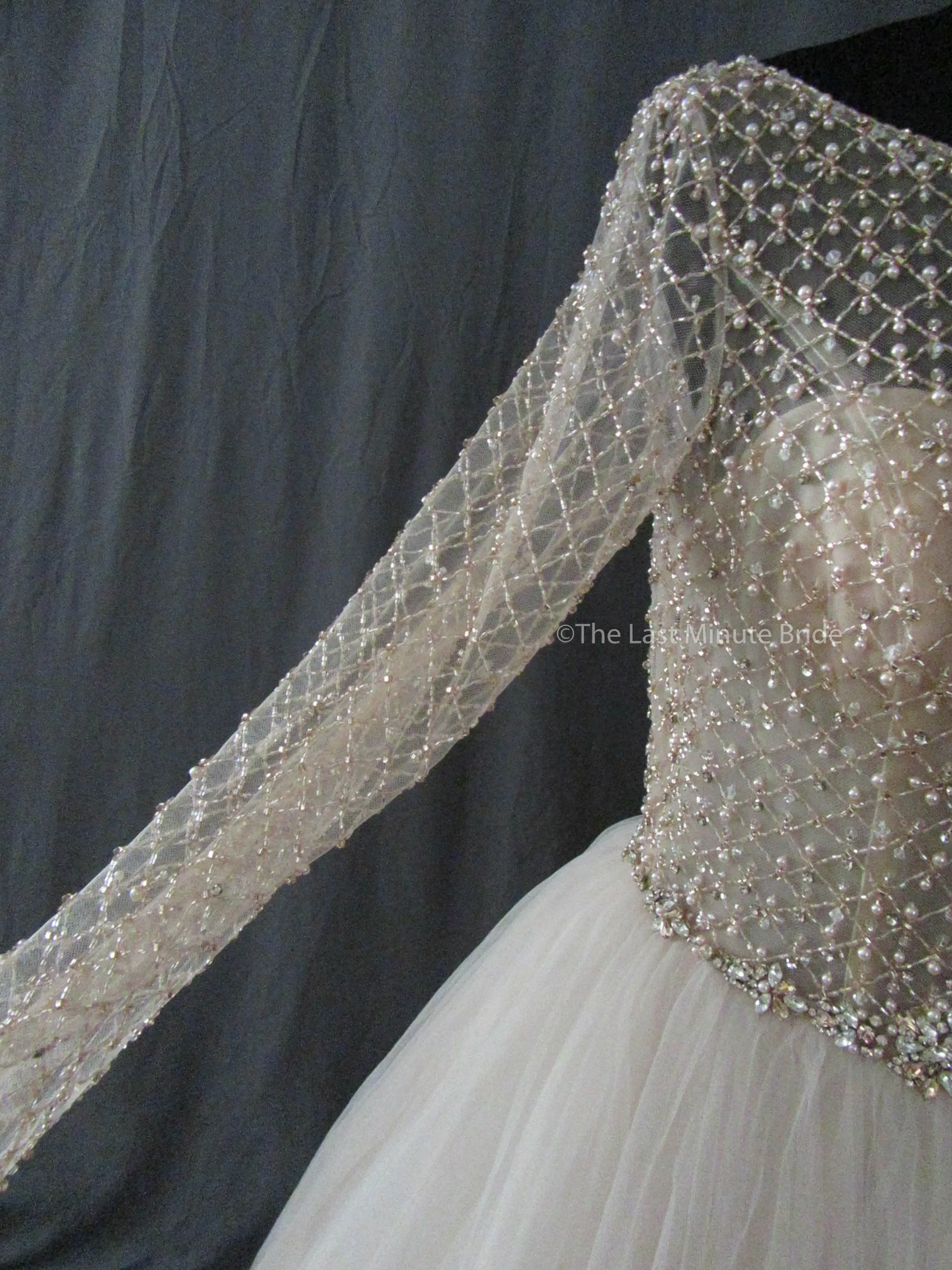 Sottero & Midgley Style Fitzgerald 9SS094