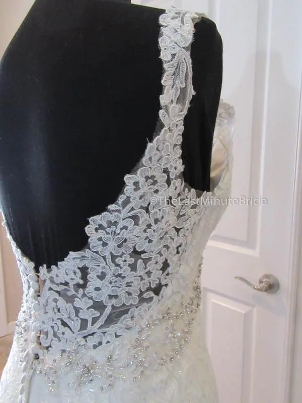 Stella York 6238