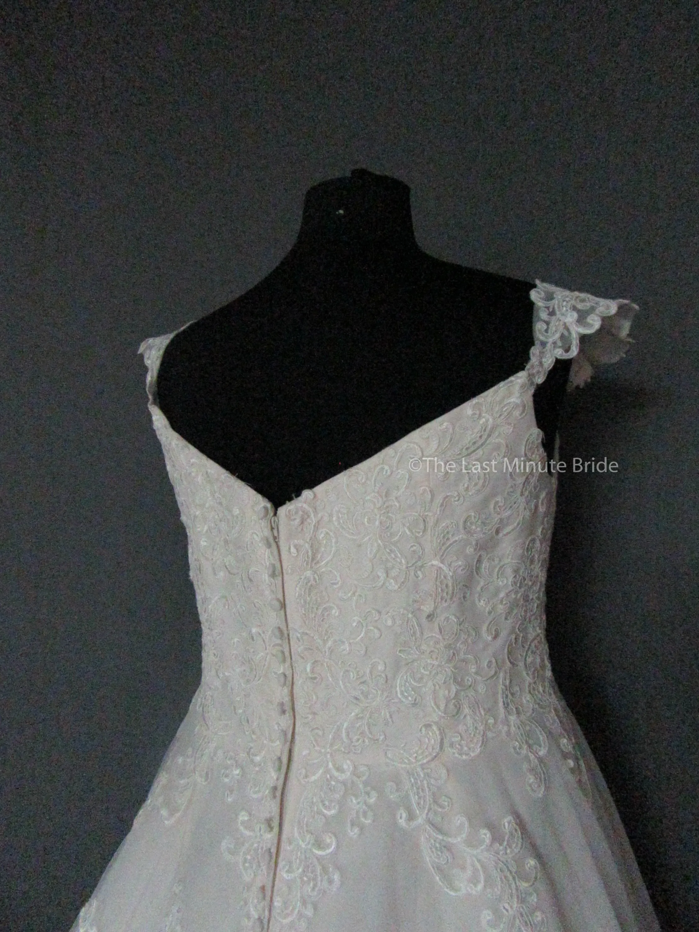 Stella York 6684