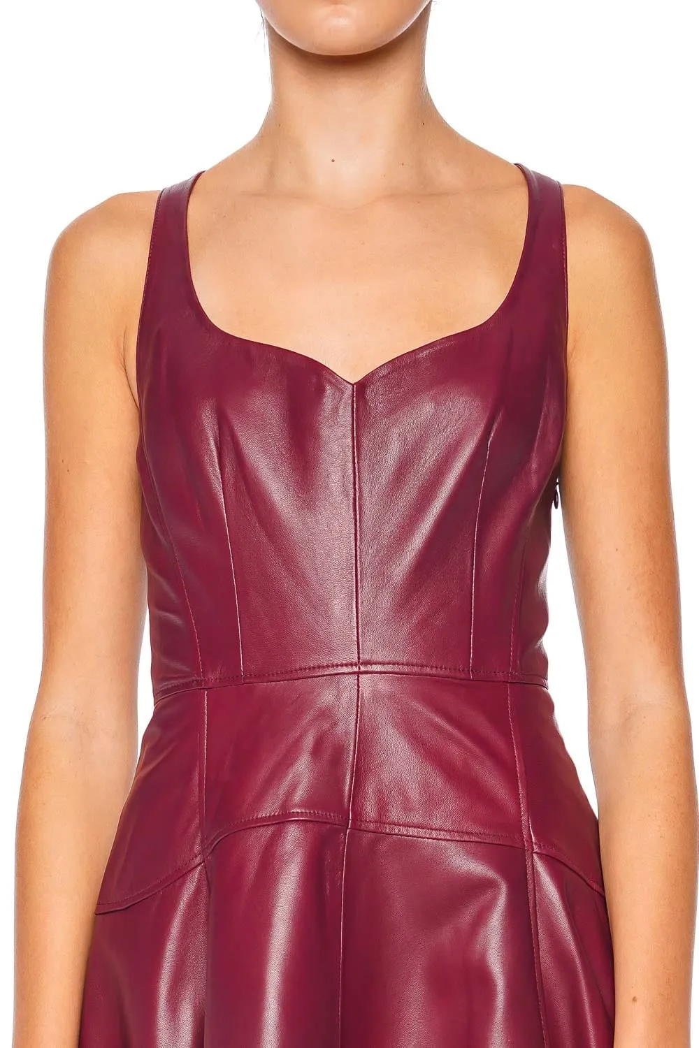 Thais Garnet Leather Mini Dress